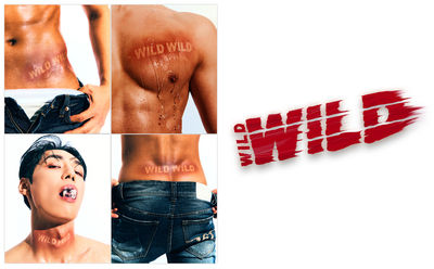 Wild Wild Show