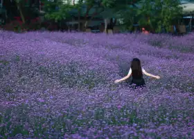 漫花莊園