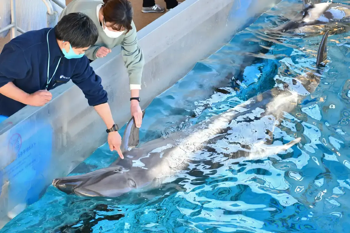 Enoshima Aquarium