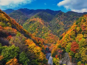 Shennongjia Tourism Area