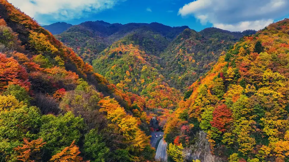 4_Shennongjia Tourism Area