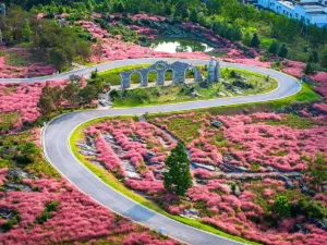 Dieshi Flower Valley, Youyang