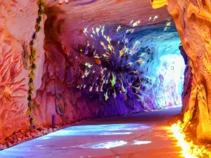 Firefly Stream Cave