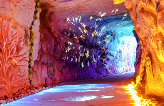 螢火蟲水洞（包括蝴蝶谷）門票成人