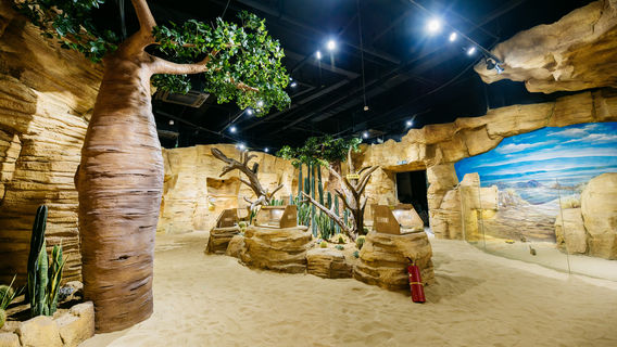 Back to Jurassic · Reptile Museum