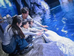 Zhengzhou Aquarium