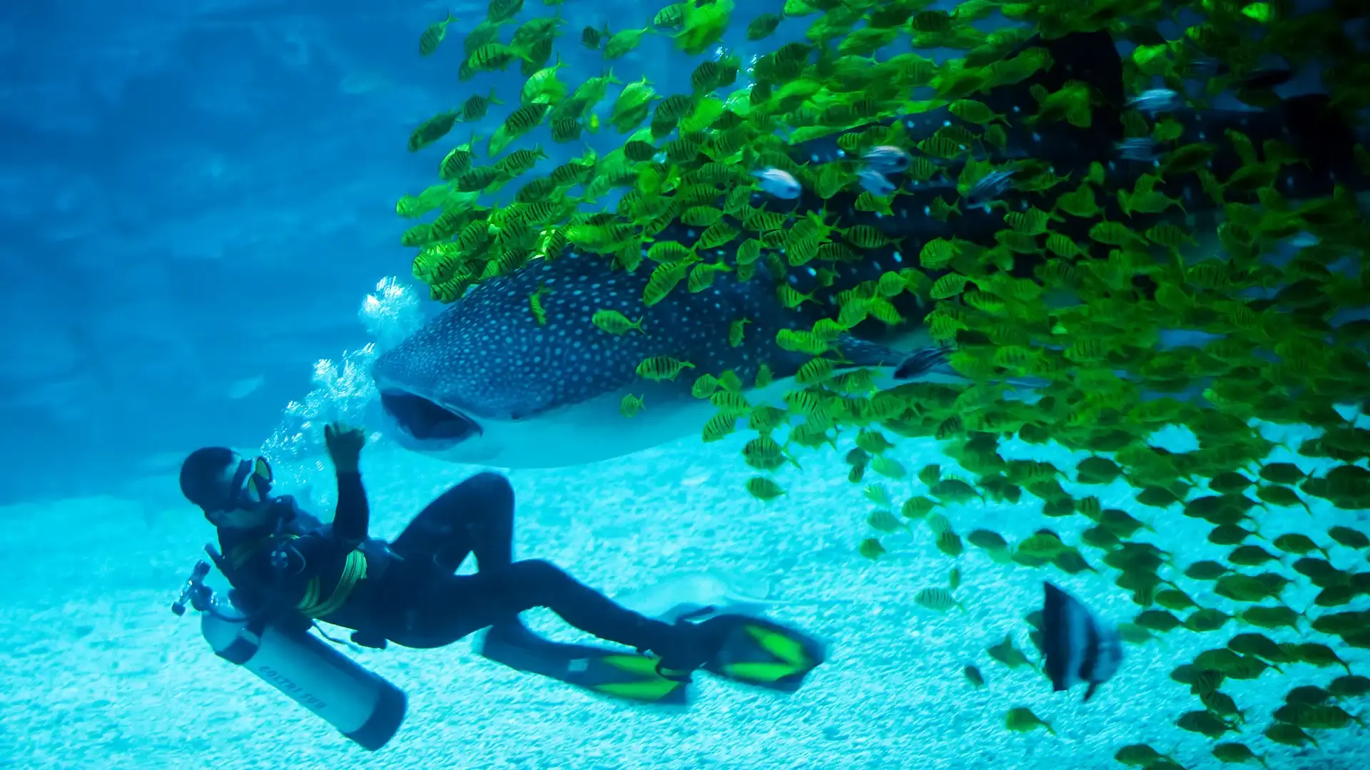Hotels near Yantai Haichang Whale Shark Ocean Park