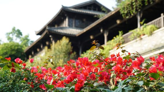 甘坑古鎮+深圳灣公園+歡樂海岸海洋奇夢館+較場尾+大鵬所城