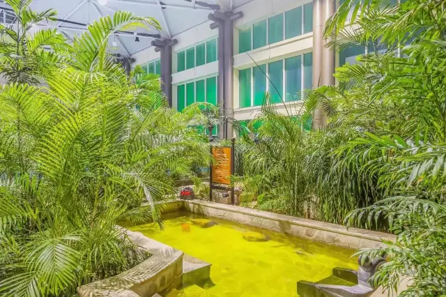 Hot Springs in Pingshan