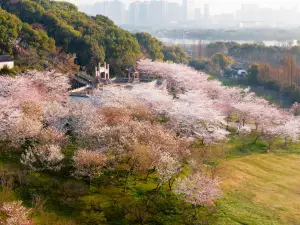 Shangfangshan National Forest Park