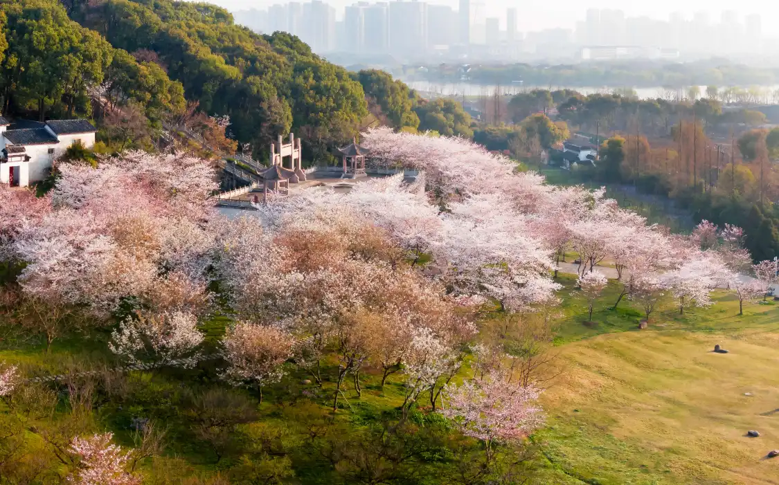 Hotels near Shangfangshan National Forest Park