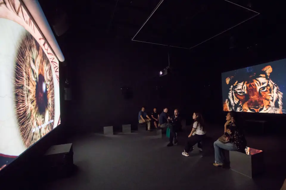 What to See and Do at Singapore Art Museum