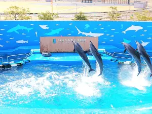 Sendai Umino-Mori Aquarium
