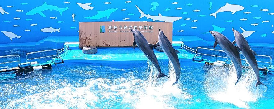 Sendai Umino-Mori Aquarium
