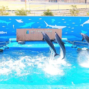 仙台海洋森林水族館
