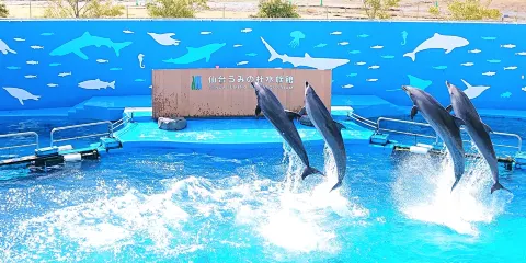 仙台海洋森林水族館