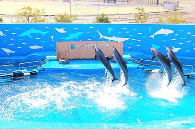Sendai Umino-Mori Aquarium