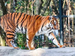 上海動物園
