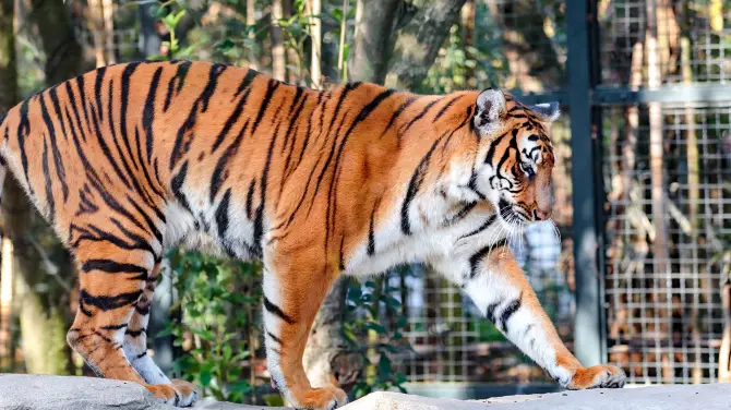 5_Shanghai Zoo