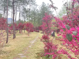 永嘉書院