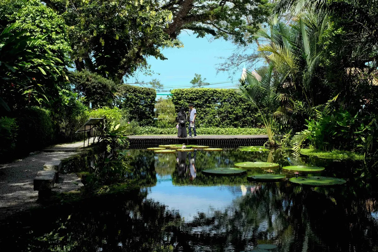 3_Tropical Spice Garden