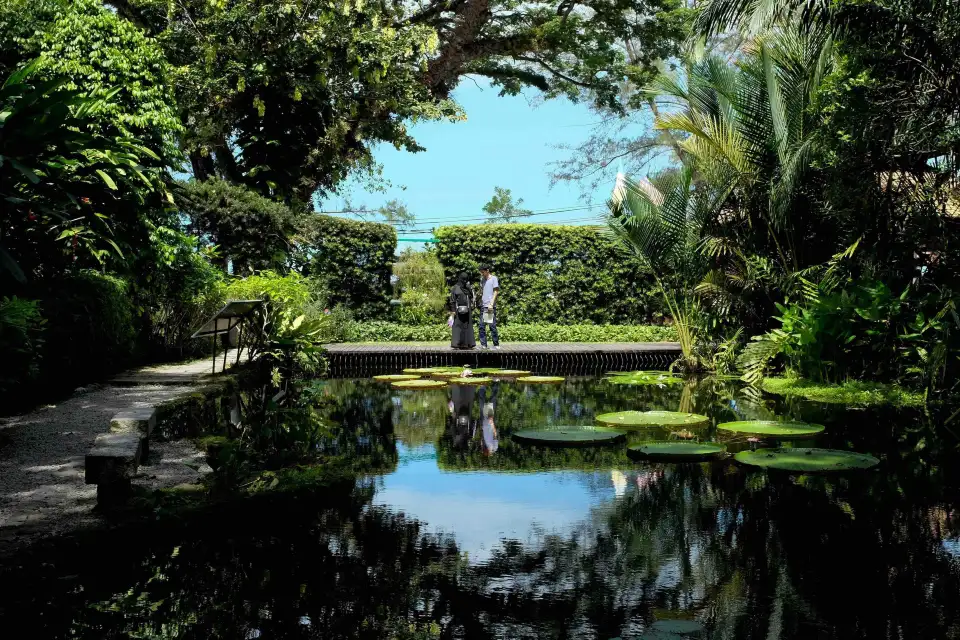 2_Tropical Spice Garden
