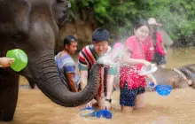 Kerchor Elephant Eco Park