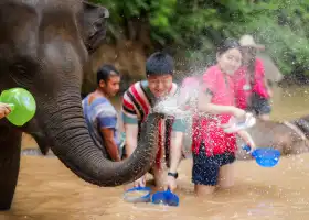 Kerchor​ elephant​ eco​ park​