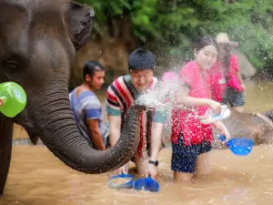 Kerchor​ elephant​ eco​ park​