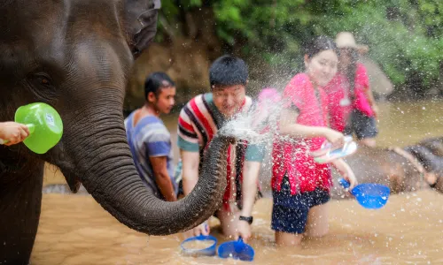 Kerchor​ elephant​ eco​ park​