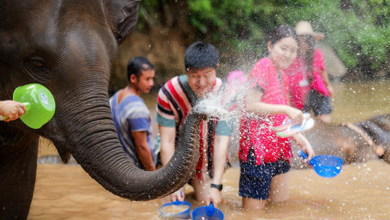 Kerchor elephant eco park