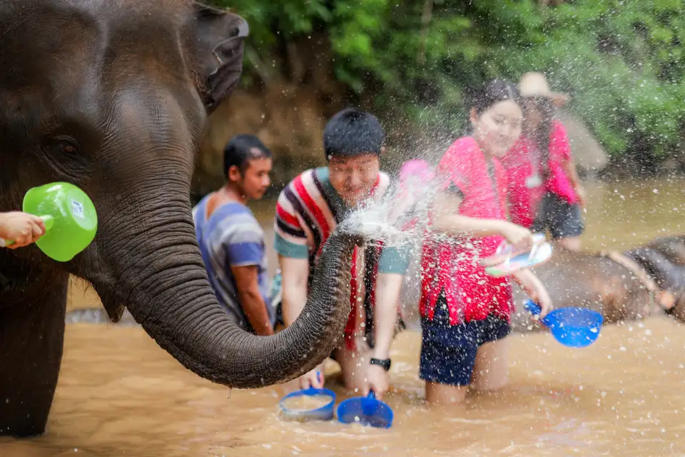 5_Kerchor​ elephant​ eco​ park​