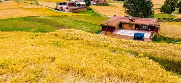 Hotels in Jomda