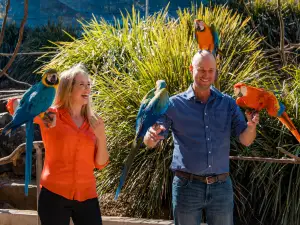 Maleny Botanic Gardens & Bird World