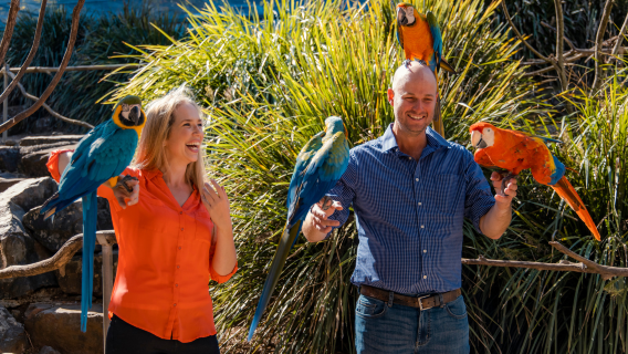 Maleny Botanic Gardens & Bird World