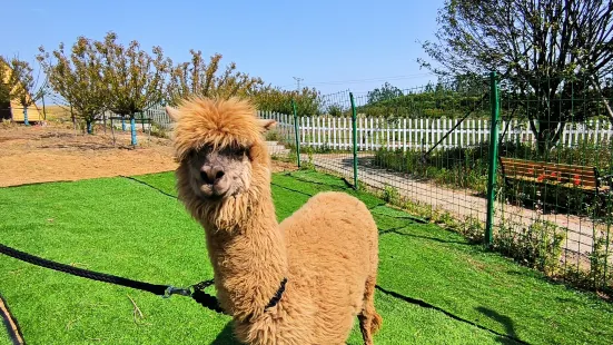 紫蓬山蔬樂園萌寵部落