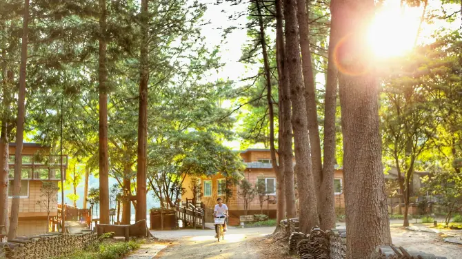 ประวัติของเกาะนามิ