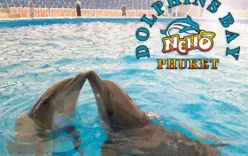 Дельфинарий