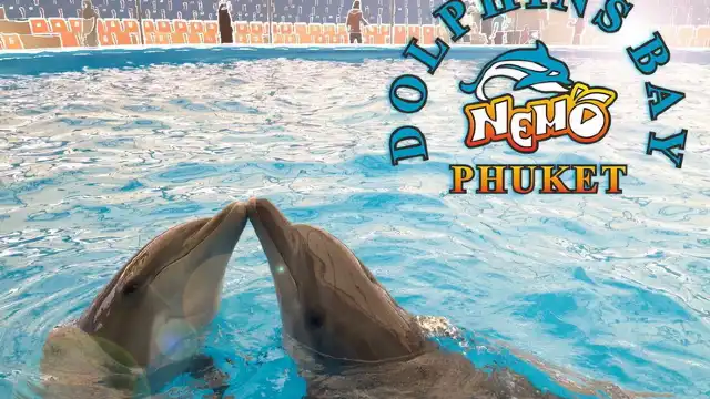 Dolphins Bay Phuket
