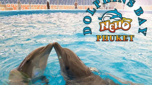 Dolphins Bay Phuket