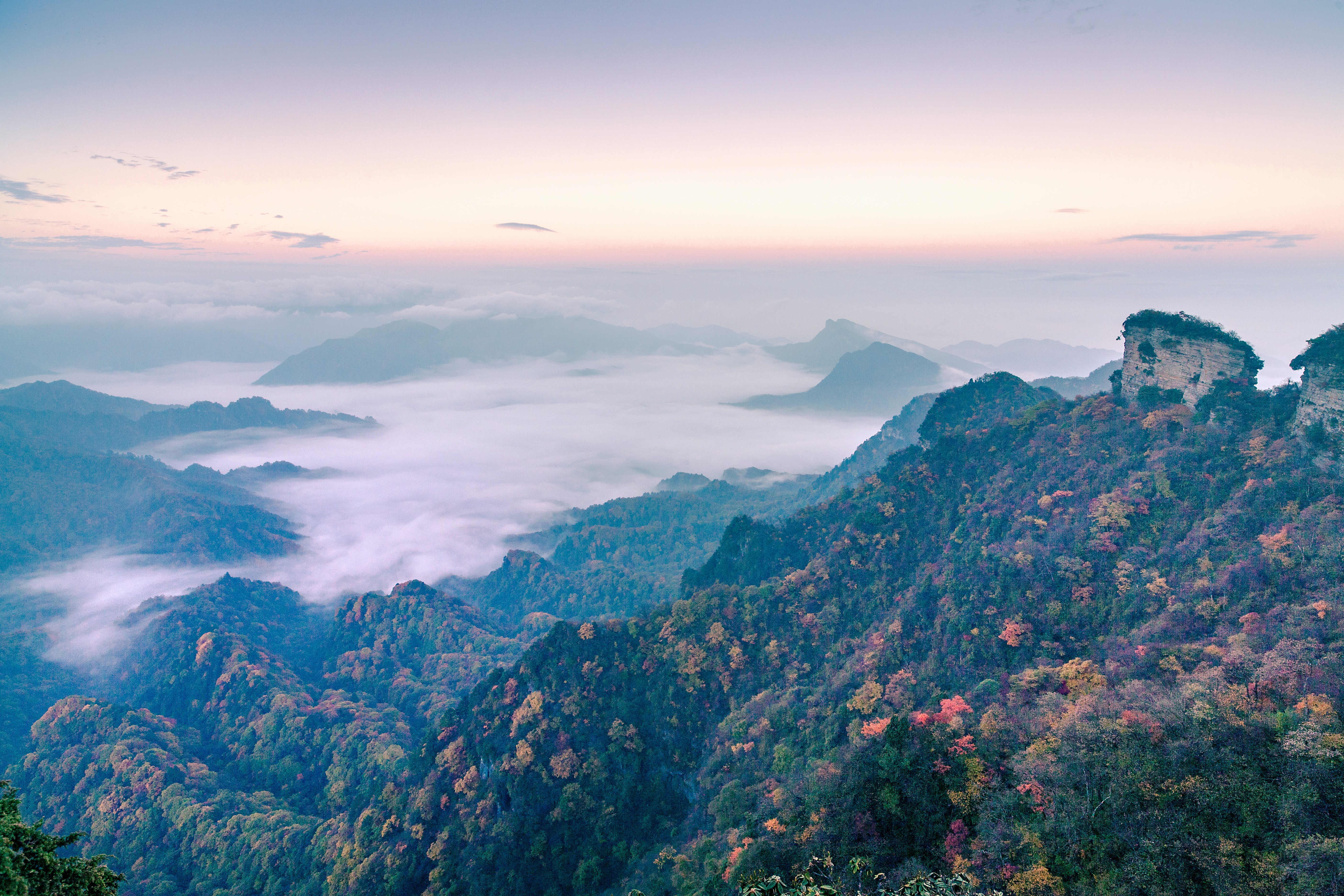 Micang Mountain National Forest Park