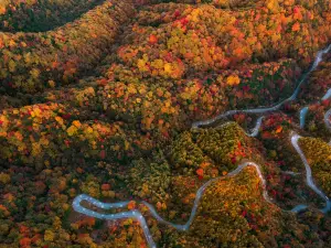 Micang Mountain National Forest Park