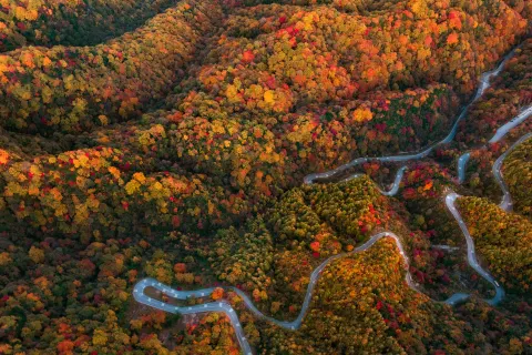 Micang Mountain National Forest Park
