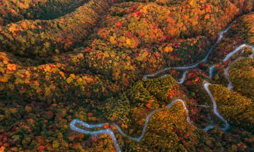 Micang Mountain National Forest Park