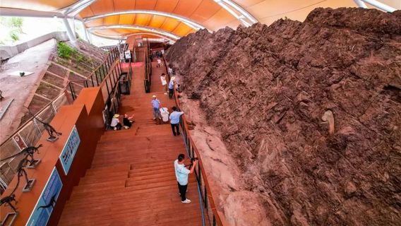 Yunyang Dinosaur Geopark