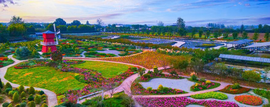Tongxin Huahai ("Sea of Flowers")