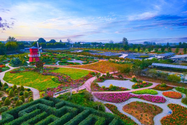 Tongxin Huahai ("Sea of Flowers")