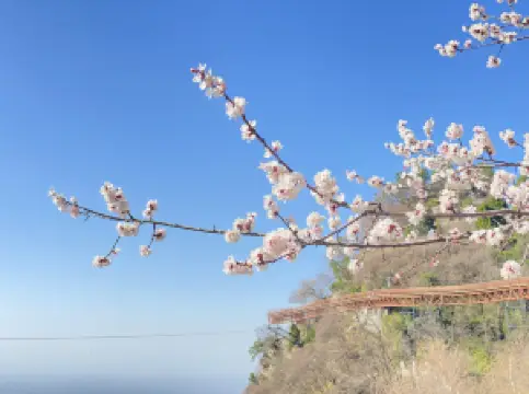 กิจกรรมในฤดูใบไม้ผลิยอดนิยมในเหว่ยหนาน