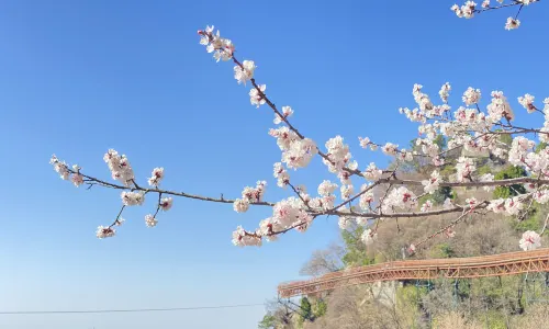 Shaohua Mountain National Forest Park