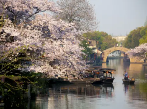 Popular Spring Outings in Jiashan